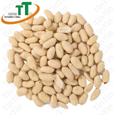 Biji Kacang Tanah Rebus 25/29 Tanaman Baru