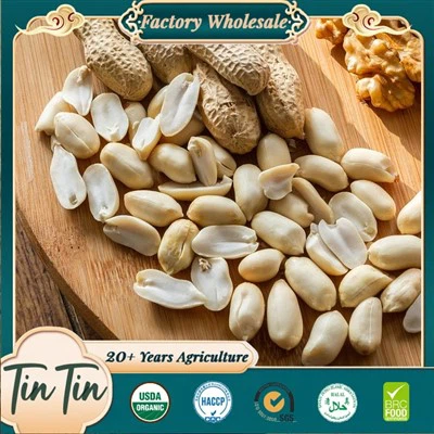 Food Grade Blanched Peanut Kernels For Export