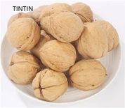 Kacang Kenari Cina Berkualitas Tinggi dalam Kulit