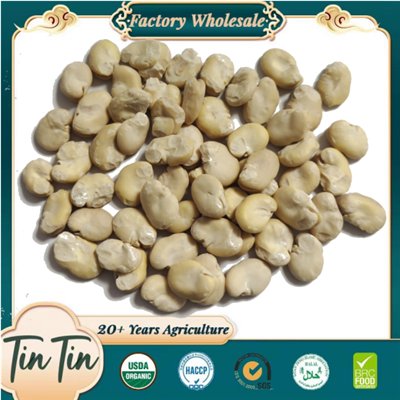 Kacang Lebar Kupas Premium