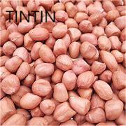 Kulit Merah Harga Terbaik Dan Kualitas Biji Kacang Tanah Bagus